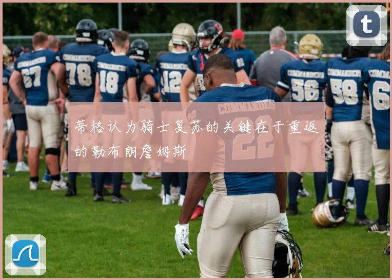 蒂格认为骑士复苏的关键在于重返的勒布朗詹姆斯