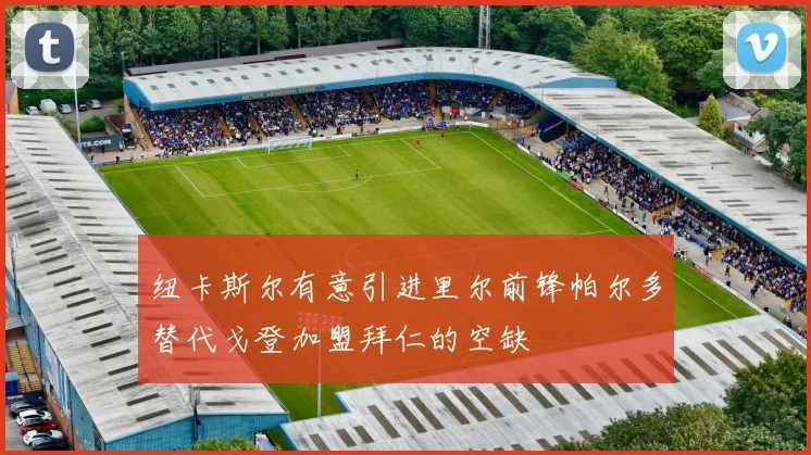 纽卡斯尔有意引进里尔前锋帕尔多替代戈登加盟拜仁的空缺